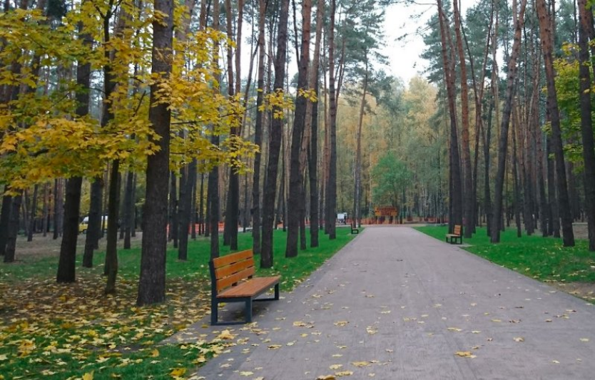 Парк Совки: осінні алеї та історія одного з найзатишніших парків столиці