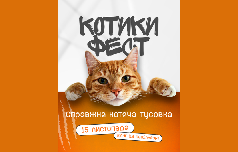 KOTYKY FEST у Києві — головний котячий фестиваль осені