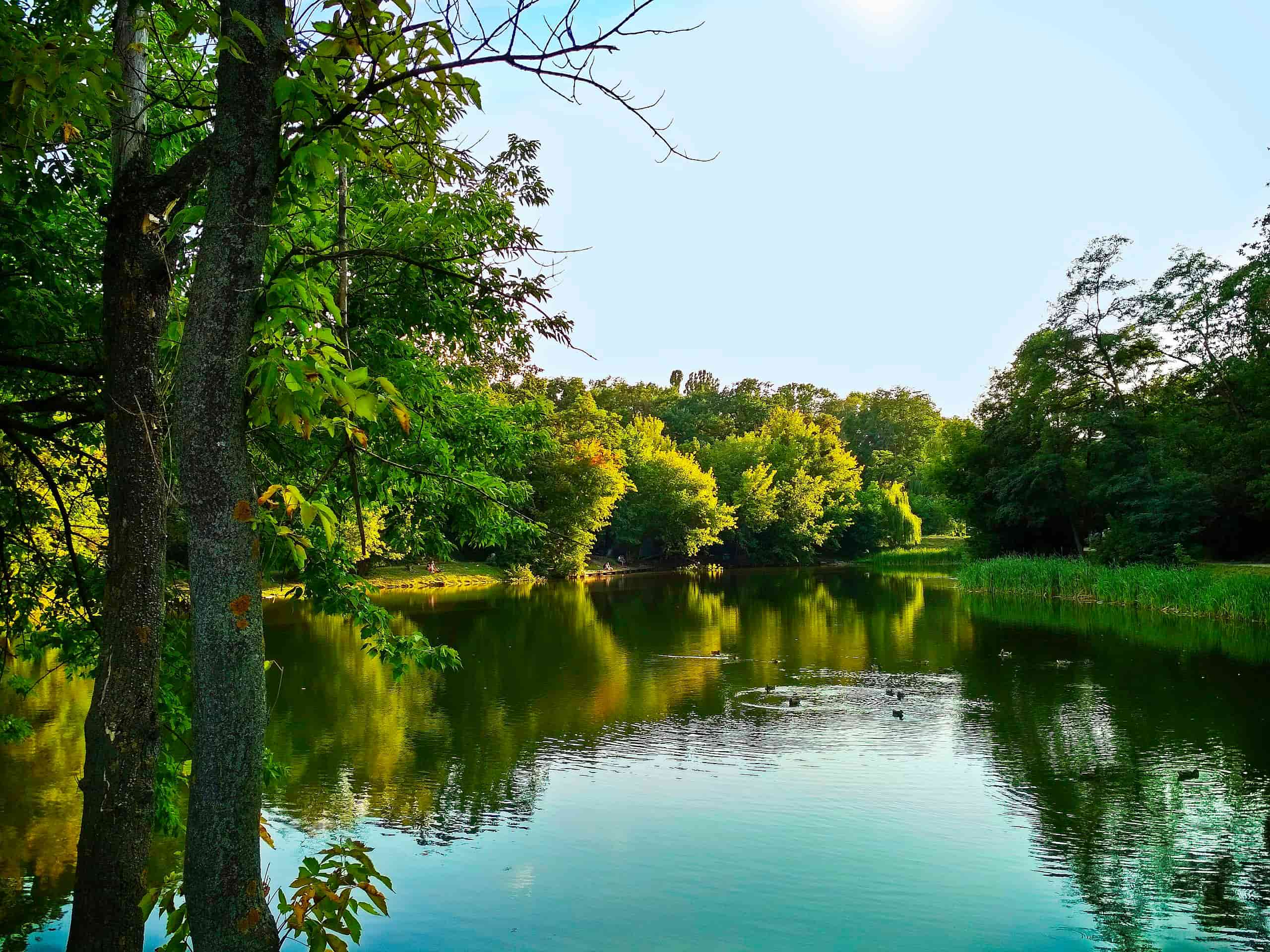 Парк Нивки: зелена історія столиці