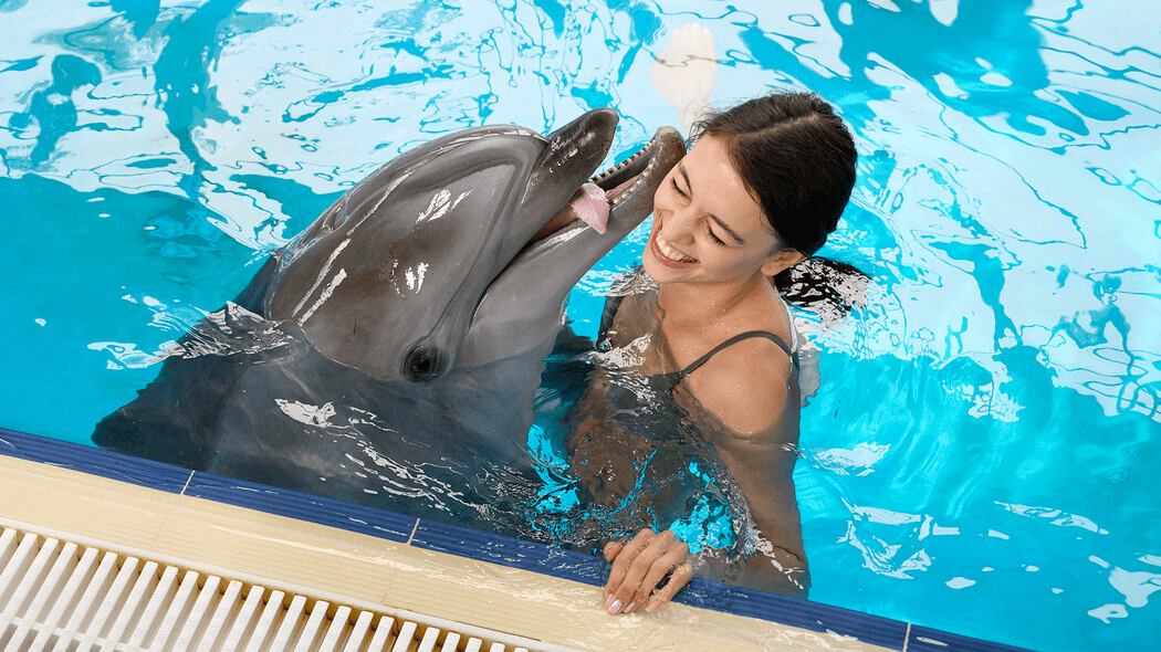 Дельфінарій у Києві: незабутня зустріч із морськими мешканцями 🐬